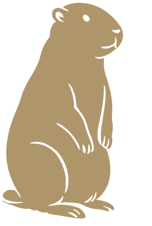プレーリードッグ